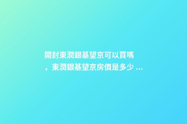 開封東潤銀基望京可以買嗎，東潤銀基望京房價是多少？